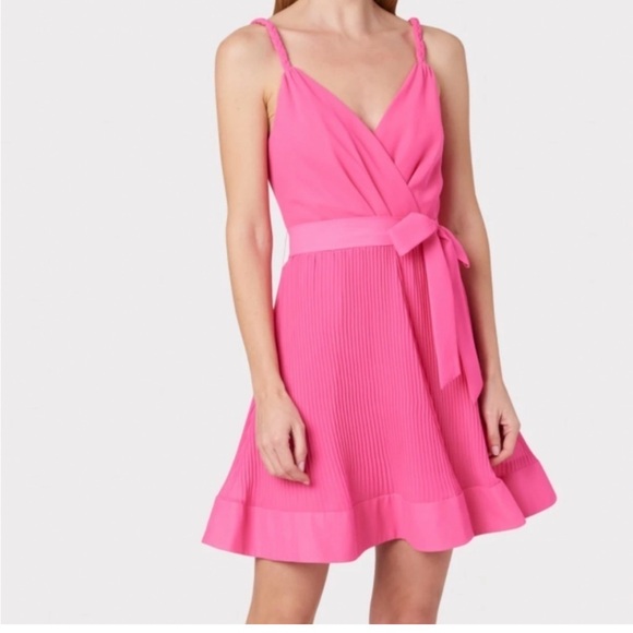 Milly of New York Dresses & Skirts - Milly, Livy Pleated Mini Dress, Size 2, Beautiful Detail, Great Quality, NWT